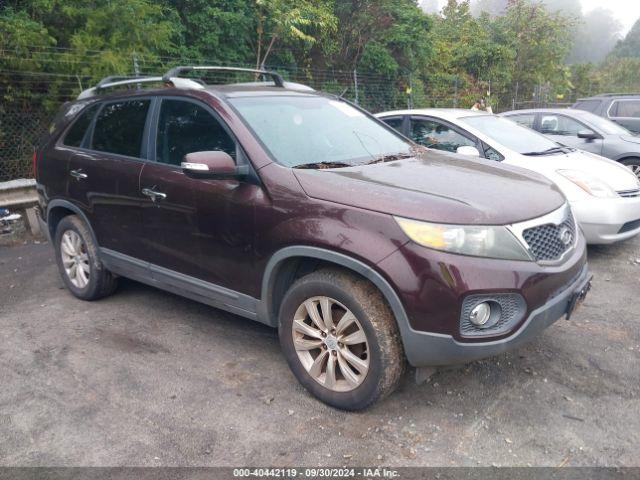  Salvage Kia Sorento