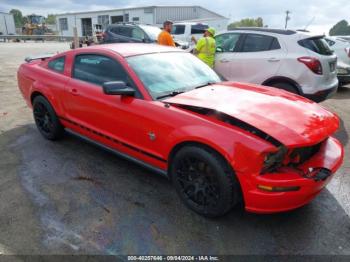  Salvage Ford Mustang