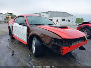  Salvage Ford Mustang