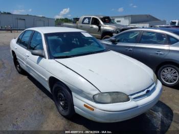  Salvage Chevrolet Lumina