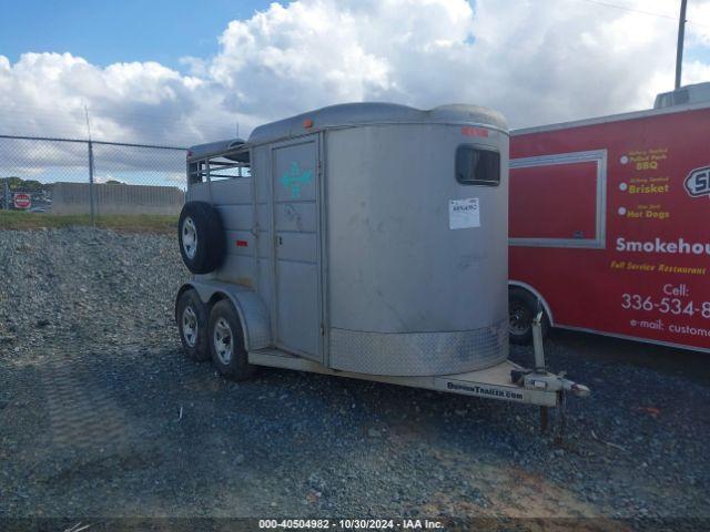  Salvage Calico Trailer