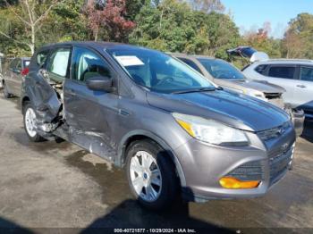  Salvage Ford Escape