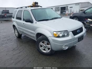  Salvage Ford Escape