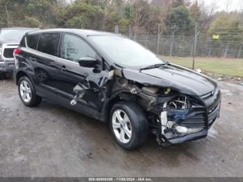  Salvage Ford Escape