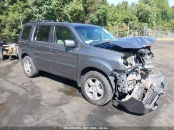  Salvage Honda Pilot