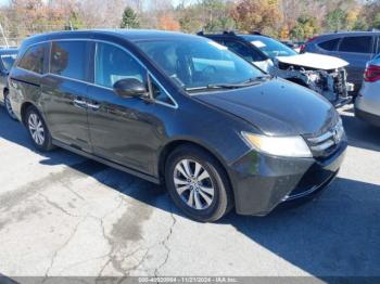  Salvage Honda Odyssey