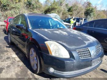  Salvage Nissan Maxima