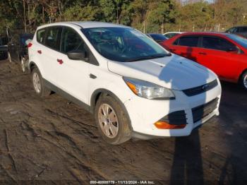  Salvage Ford Escape