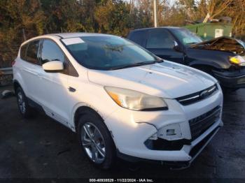  Salvage Ford Escape