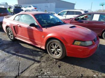  Salvage Ford Mustang