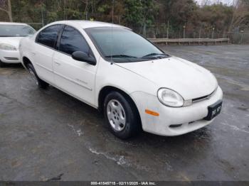  Salvage Dodge Neon