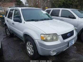  Salvage Ford Escape