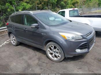  Salvage Ford Escape