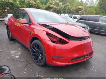  Salvage Tesla Model Y