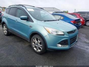  Salvage Ford Escape