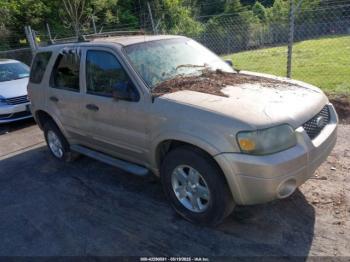  Salvage Ford Escape