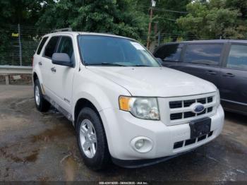  Salvage Ford Escape