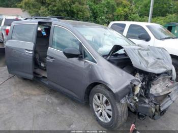  Salvage Honda Odyssey