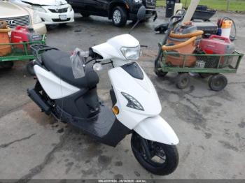  Salvage Znen Vogue 150