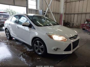  Salvage Ford Focus