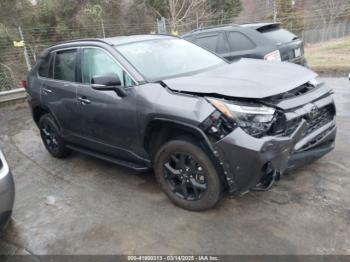  Salvage Toyota RAV4