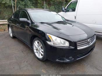  Salvage Nissan Maxima