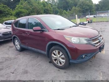  Salvage Honda CR-V