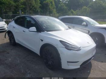  Salvage Tesla Model Y