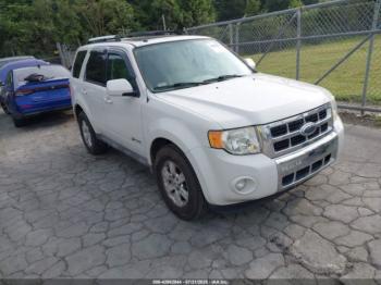  Salvage Ford Escape