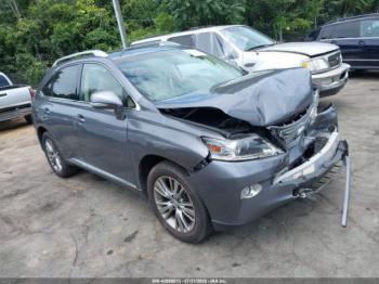  Salvage Lexus RX