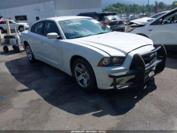  Salvage Dodge Charger