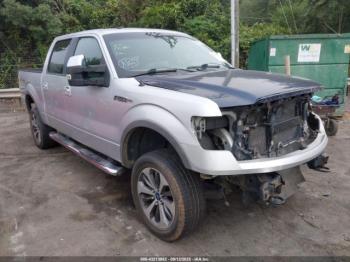  Salvage Ford F-150