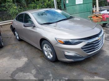  Salvage Chevrolet Malibu
