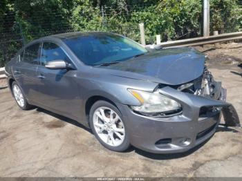  Salvage Nissan Maxima