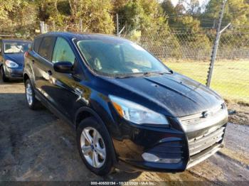  Salvage Ford Escape