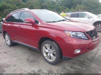  Salvage Lexus RX
