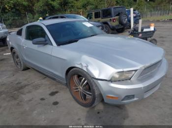  Salvage Ford Mustang