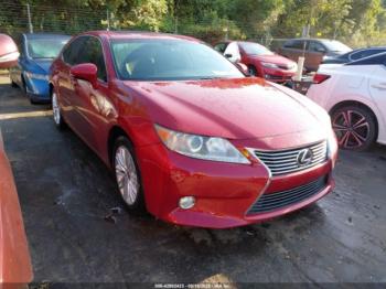  Salvage Lexus Es