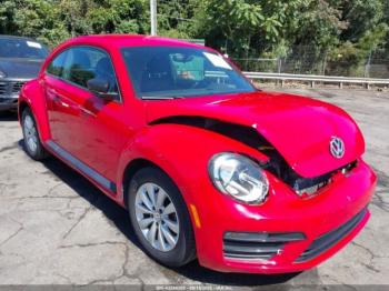  Salvage Volkswagen Beetle