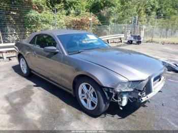  Salvage Ford Mustang