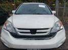 Honda CR-V Ex-l Image 11