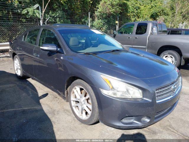  Salvage Nissan Maxima