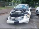 Cadillac DTS Luxury Collection Image 14
