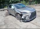 Lexus NX Premium Image 1