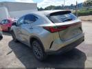 Lexus NX Premium Image 4