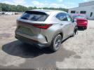 Lexus NX Premium Image 3