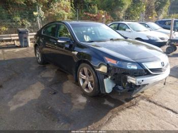  Salvage Acura TL