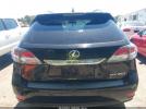 Lexus RX Image 8