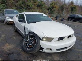  Salvage Ford Mustang