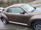 Volkswagen Beetle 2.0l Tdi Image 10